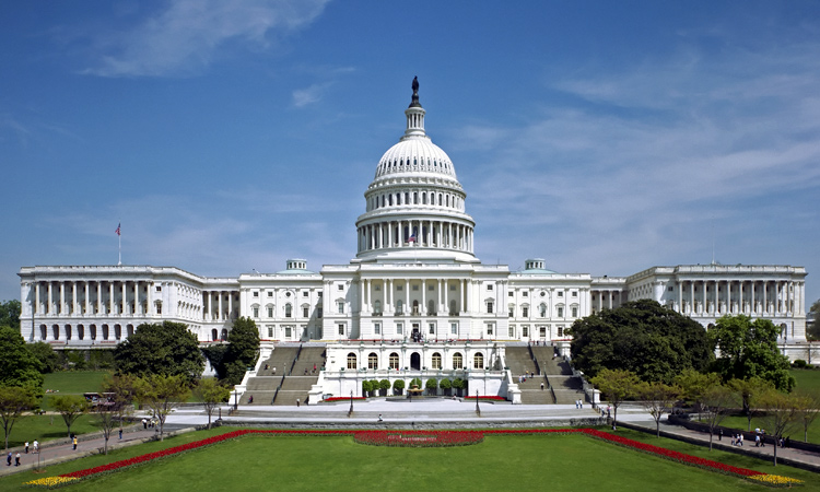 how us federal government works