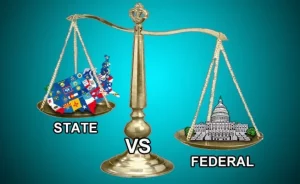 federal vs state powers us