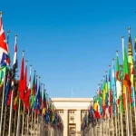 how international organizations work