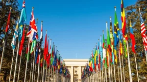 how international organizations work