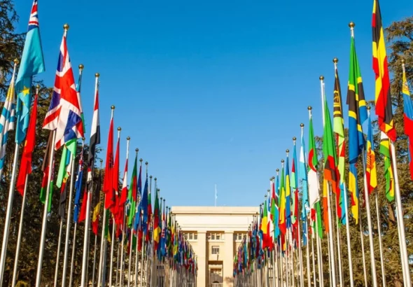 how international organizations work