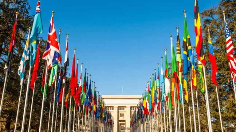 how international organizations work