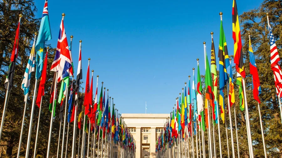 how international organizations work