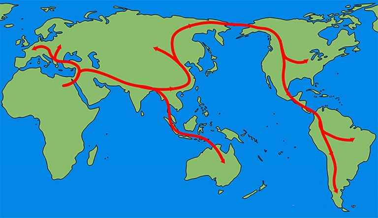 how migration patterns work