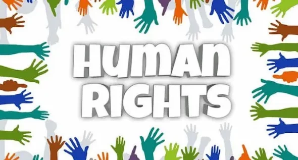 how human rights are protected