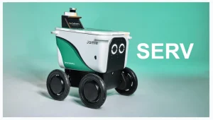 Serve Robotics stock forecast