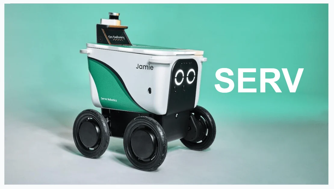 Serve Robotics stock forecast